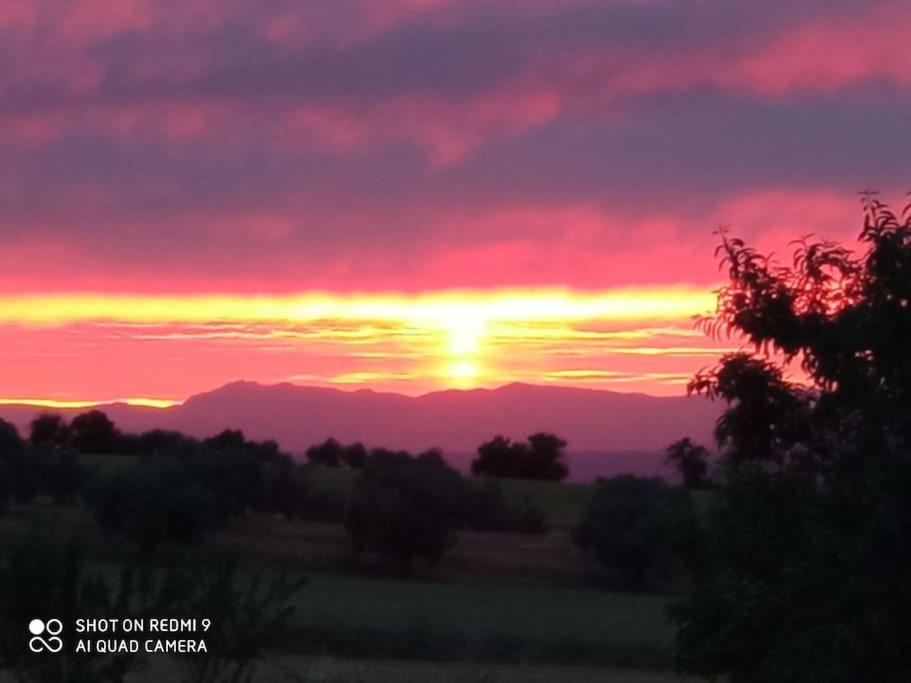 Vila Finca Denunez La Mata  Exteriér fotografie