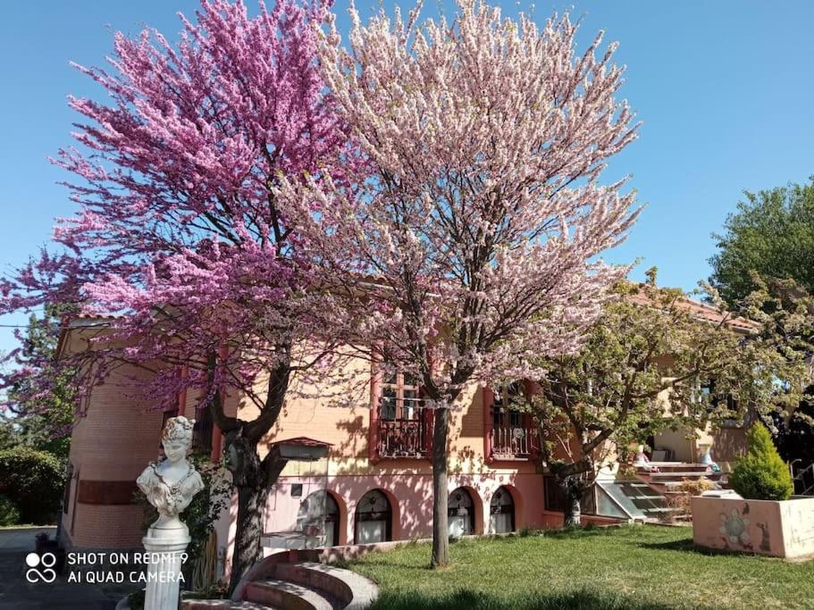 Vila Finca Denunez La Mata  Exteriér fotografie