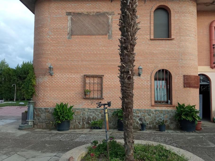 Vila Finca Denunez La Mata  Exteriér fotografie